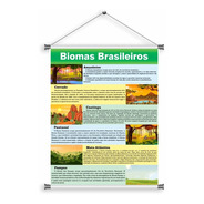 Banner Em Lona Biomas Brasileiros Geografia Escolas