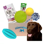 Mascobox Kit Juguetes Soga Pelota Perros Medianos Y Grandes