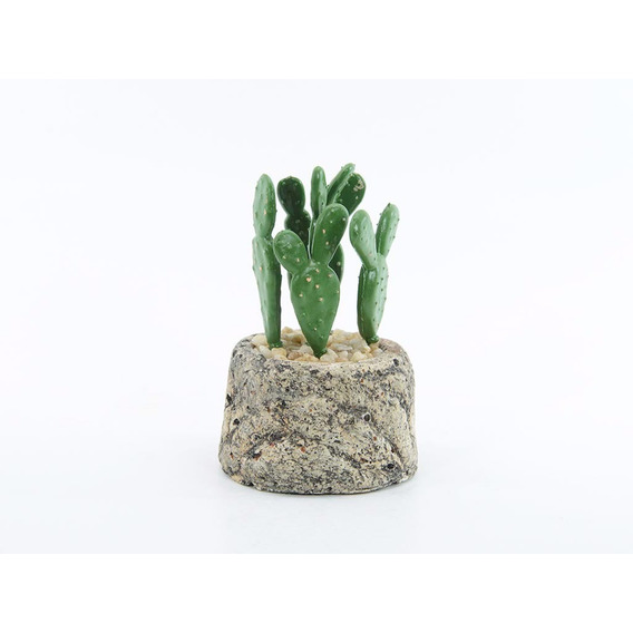 Cactus En Piedra 12 Cm. X 1 Unidad