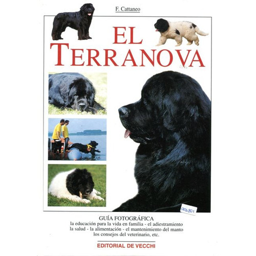 El Terranova, De Cattaneo Filippo. Editorial Vecchi, Tapa Blanda En Español, 2000