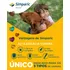 Zoetis Simparic 20mg Perro - Verde oscuro - 1 - 2.6 kg - 5 kg - 1 - Unidad - 1