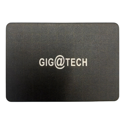 Disco sólido interno GIGATECH Discos FXPRO1000 500GB negro