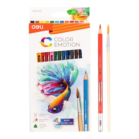 Set Lapices Colores Acuarelable Pro 12 Colores Arte Y Dibujo