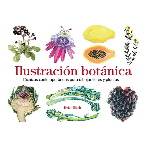 Ilustracion Botanica - Birch, Helen
