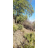 Venta Terreno - Sitio 1500mts San José De Maipo