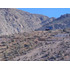 Terreno De 5.000 M2. Sector Los Algodones