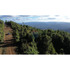 Tu Refugio Natural Cerca Del Lago Ranco