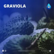 Extrato Vegetal Composto De Graviola 100% Natural | 20 Ml
