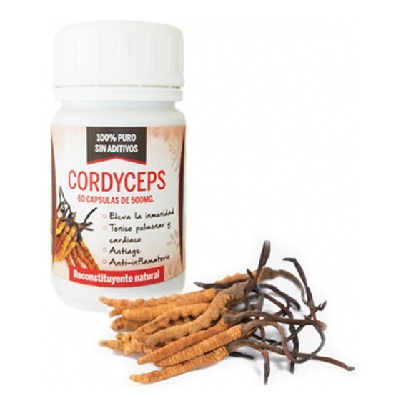 Cordyceps En Capsulas, 500mg X 60 Caps