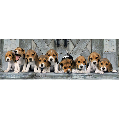 Cachorros Beagle Panorama Rompecabezas 1000 Pz Clementoni