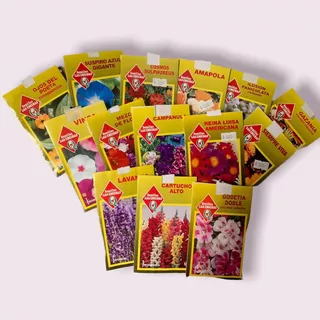 Pack 10 Semillas De Flores