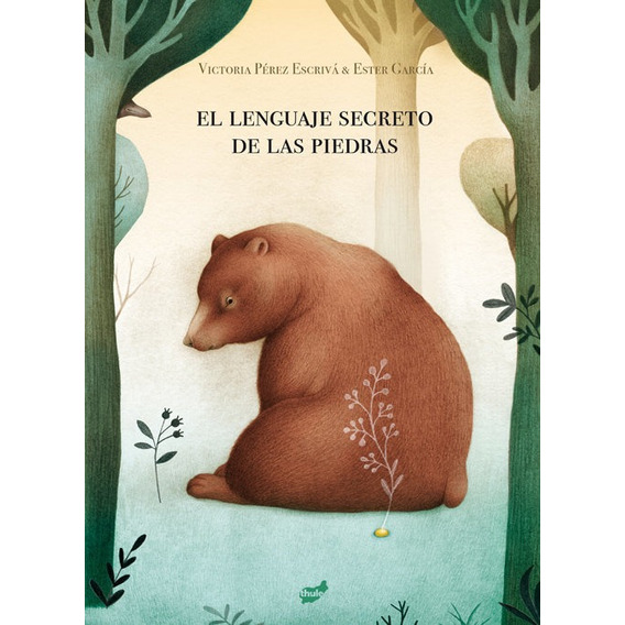 Libro El Lenguaje Secreto De Las Piedras