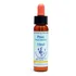 Flores De Bach Pine 10ml Natura Trix