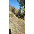Venta Terreno - Sitio 1500mts San José De Maipo