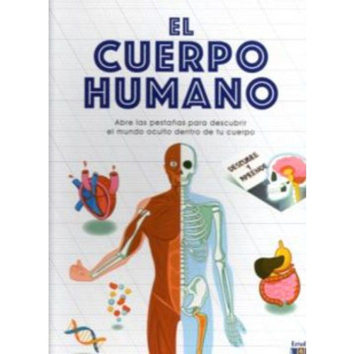 El Cuerpo Humano -descubre Y Aprende, De Willow, Marnie. Editorial Edimat Libros, Tapa Dura, Edición 1 En Español, 2019