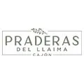development-logo