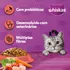 Alimento Whiskas Adultos Whiskas Gatos para gato adulto todos los tamaños sabor mix de carnes de 10 kg