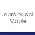 development-logo