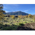 Se Venden Cabañas En Terreno 5000 M2 Malalcahuello
