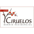 development-logo