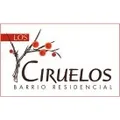 development-logo