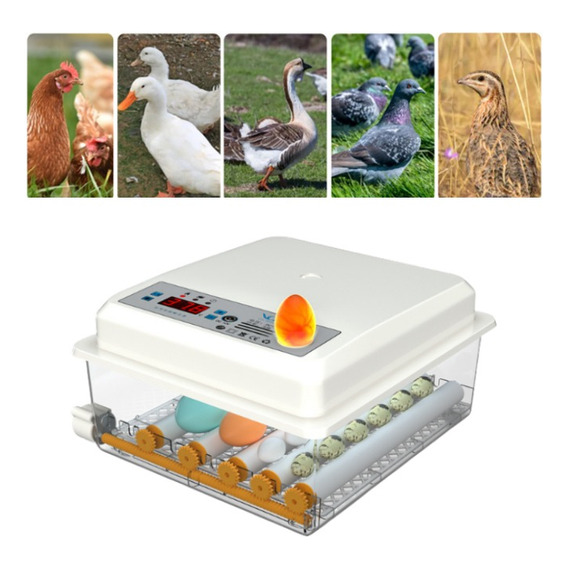 Incubadora Automática De Aves Corral Para Pollos, 16 Huevos