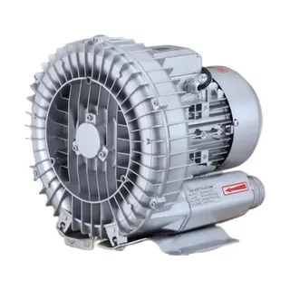 Blower Regenerativo De 1 Hp (trifásico 220v) 