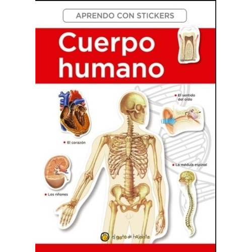 Libro El Cuerpo Humano De Aprendo Con Stickers