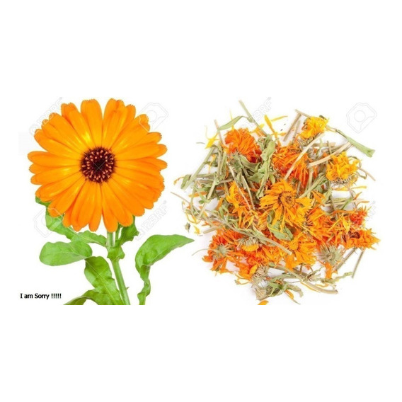 Te De Caléndula Flor 500 Grs - g a $48