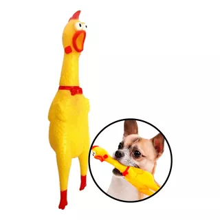 Brinquedo Pet Mordedor Borracha Frango Galinha Grande 30cm