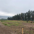 Terreno Construccion  En Venta En San Fernando