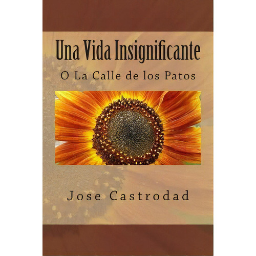 Una Vida Insignificante, De Jose Castrodad Ph D. Editorial Createspace Independent Publishing Platform, Tapa Blanda En Español