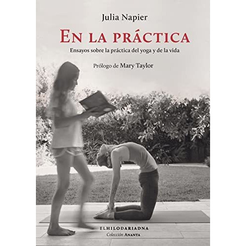 En La Prctica, De Napier, Julia. Editorial Hilo De Ariadna, Tapa Blanda En Español, 9999