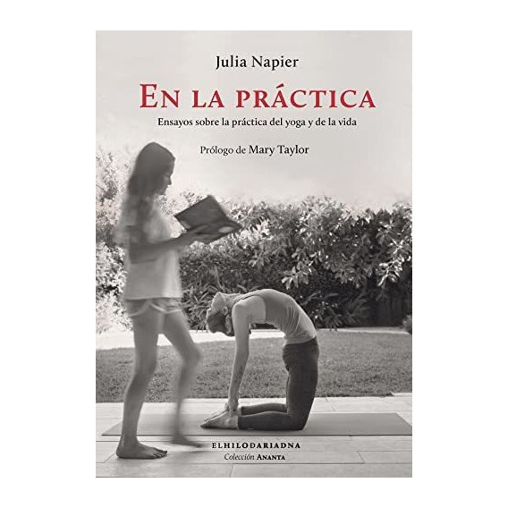 En La Prctica, De Napier, Julia. Editorial Hilo De Ariadna, Tapa Blanda En Español, 9999