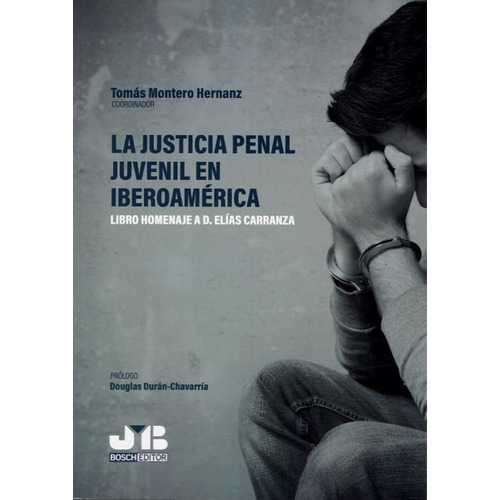 La Justicia Penal Juvenil En Iberoamérica