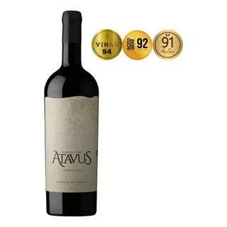 Vino Premium Atavus Carmenere Valle Cachapoal Viña Boutique 