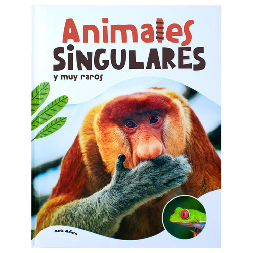 Universo Animal: Animales Singulares y my Raros.: Libro infantil Universo Animal: Animales singulares y muy raros, de María Mañeru. Editorial Silver Dolphin (en español), tapa dura en español, 2022