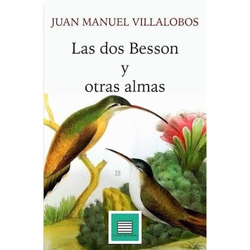 Las Dos Besson Y Otras Almas De Juan Manuel Vi, de Juan Manuel Villalobos. Editorial Campo de Niebla en español