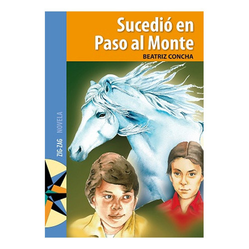 Sucedió En Paso Al Monte: Sucedió En Paso Al Monte, De Beatriz Concha. Editorial Zig Zag, Tapa Blanda En Castellano