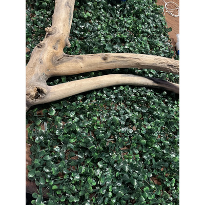 Foto del comprador