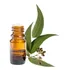 Aceite Esencial De Eucalipto 100ml  Puro, Natural Y Refresc