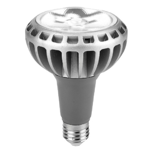 Lámpara Led Par30 Calidad Premium 30w E27 Cal Frio Pack X 10 Color de la luz Cálido