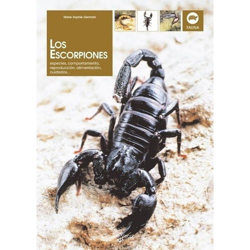 Escorpiones Especies,portamiento - Aa.vv, de VV. AA.. Editorial DE VECCHI en español