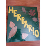 Herbario De Plantas Para La Universidad