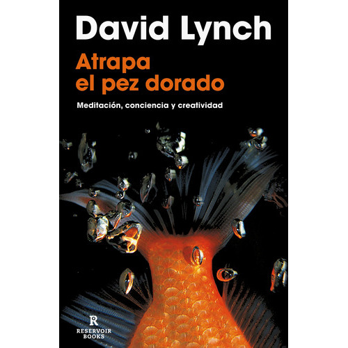 Atrapa El Pez Dorado - David Lynch, De David Lynch. Editorial Reservoir Books En Español
