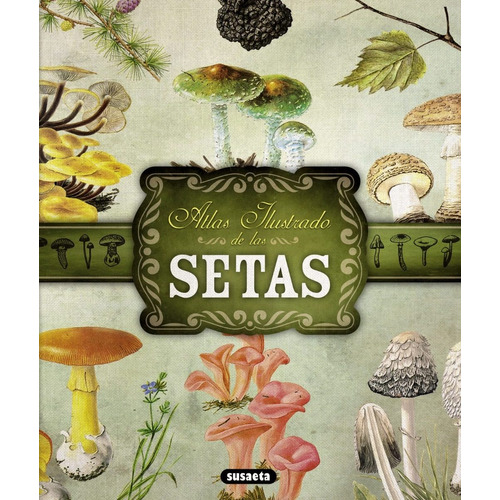 Atlas Ilustrado De Las Setas (t.d)