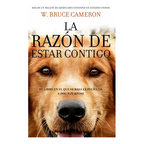 La Razon De Estar Contigo #1, De Cameron, W. Bruce. Editorial Roca, Tapa Blanda En Español