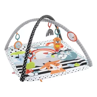 Gimnasio De Actividades Musicales 3 En 1 Fisher Price Hbp41