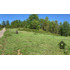 Parcela En Sector Huitrago, Curarrehue, 5000m2
