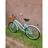 Bicicleta Gribom Brisa Rodado 24